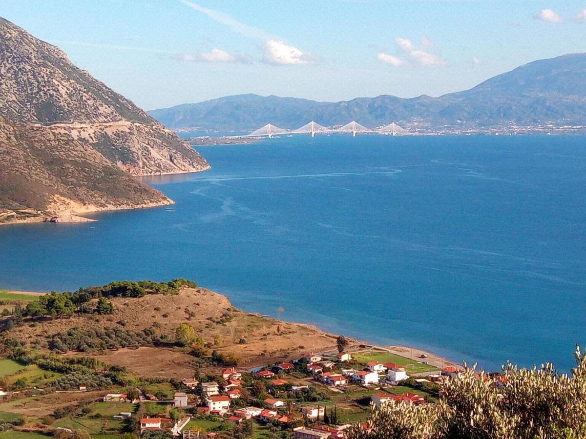 Villa The Platanus Tree Kato Vasiliki المظهر الخارجي الصورة