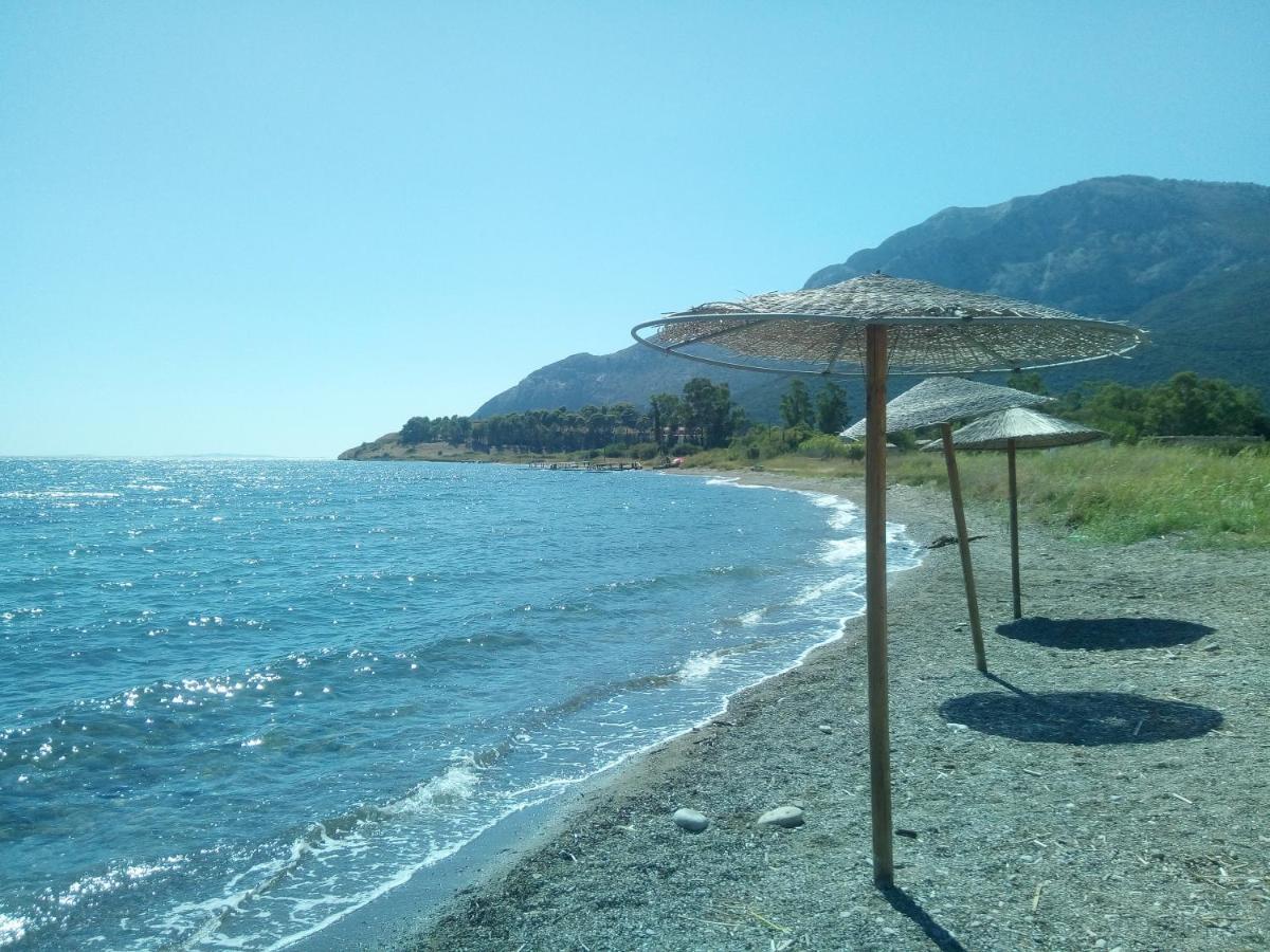 Villa The Platanus Tree Kato Vasiliki المظهر الخارجي الصورة