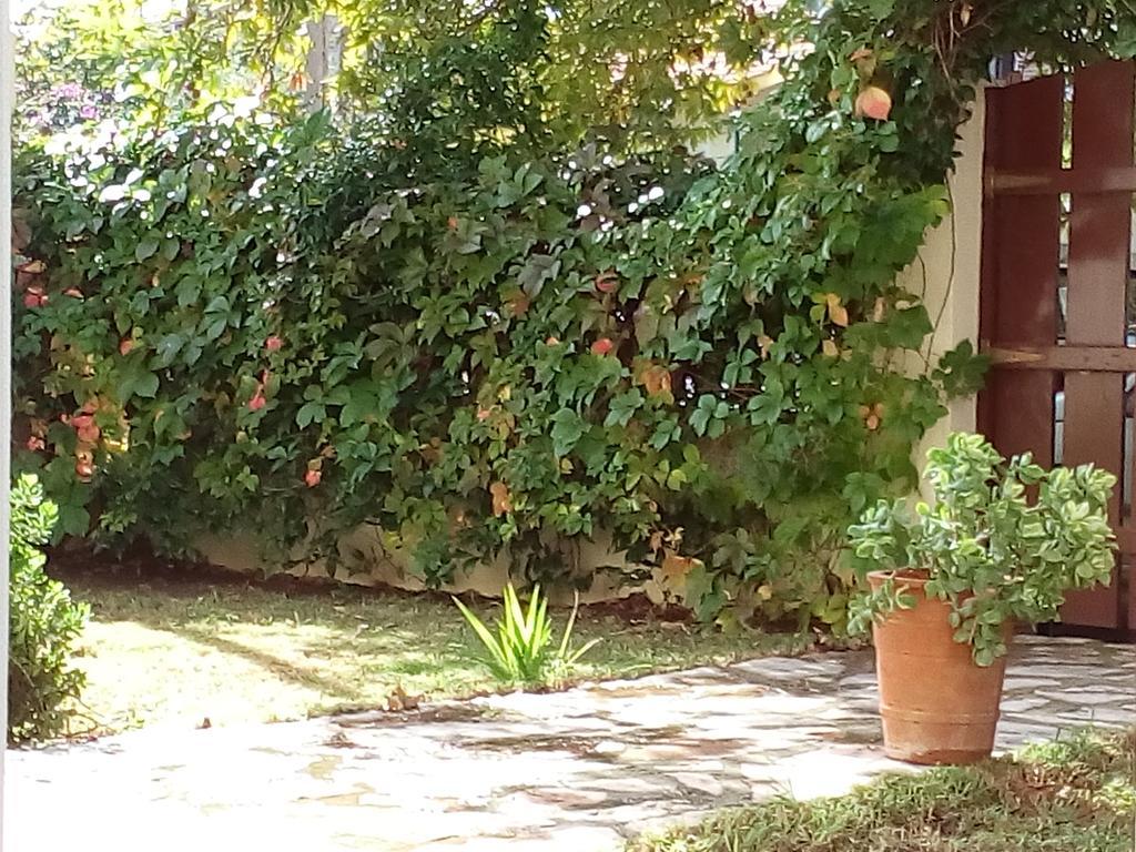Villa The Platanus Tree Kato Vasiliki المظهر الخارجي الصورة