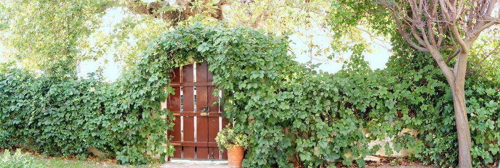 Villa The Platanus Tree Kato Vasiliki المظهر الخارجي الصورة