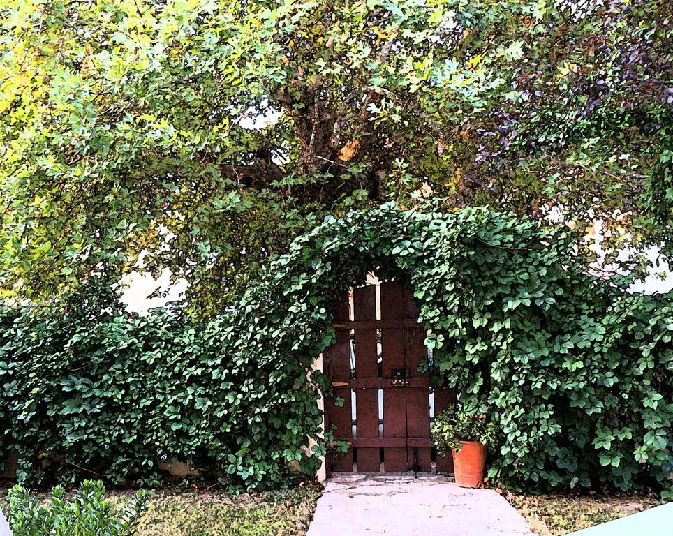 Villa The Platanus Tree Kato Vasiliki المظهر الخارجي الصورة
