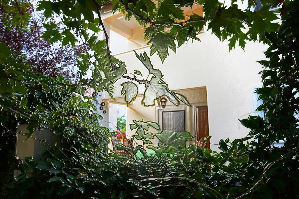 Villa The Platanus Tree Kato Vasiliki المظهر الخارجي الصورة