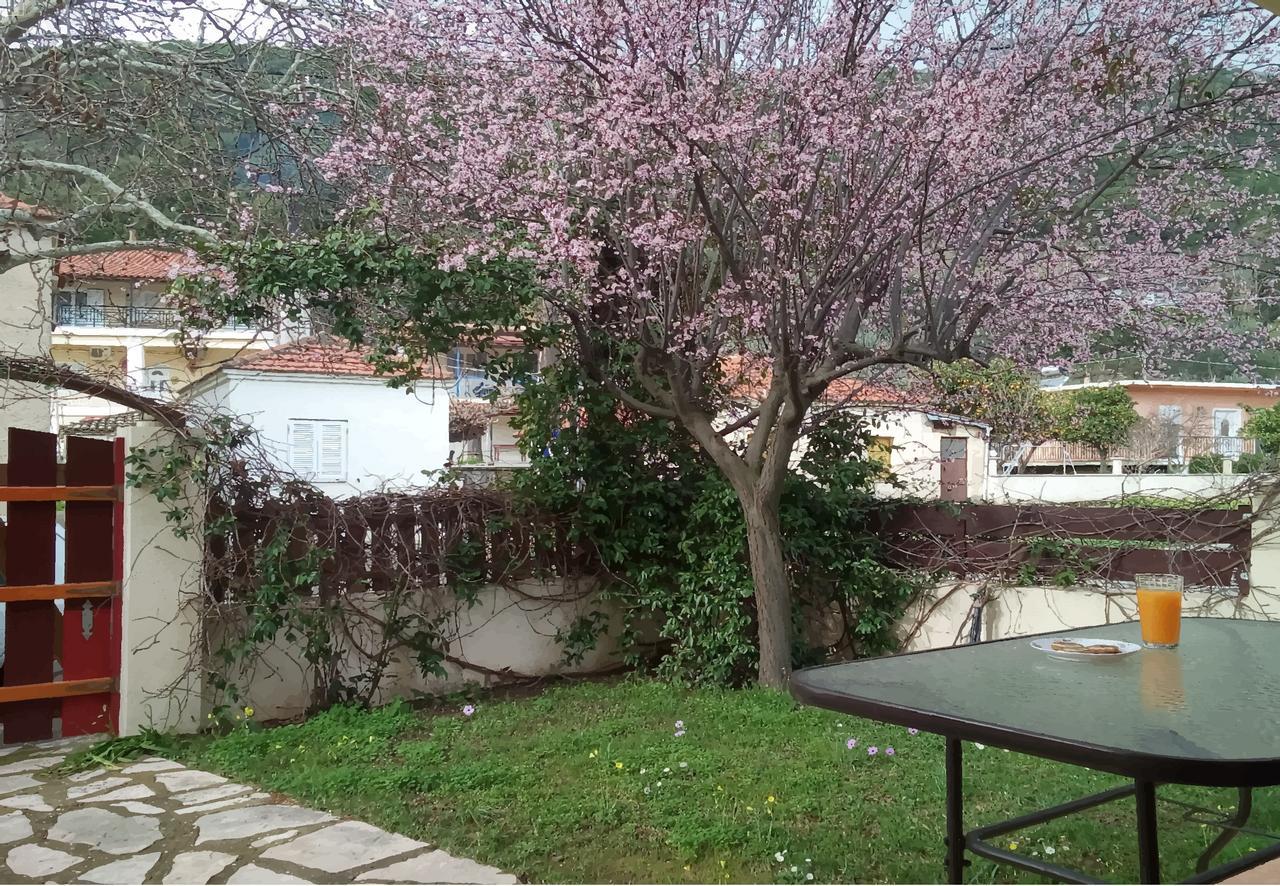 Villa The Platanus Tree Kato Vasiliki المظهر الخارجي الصورة