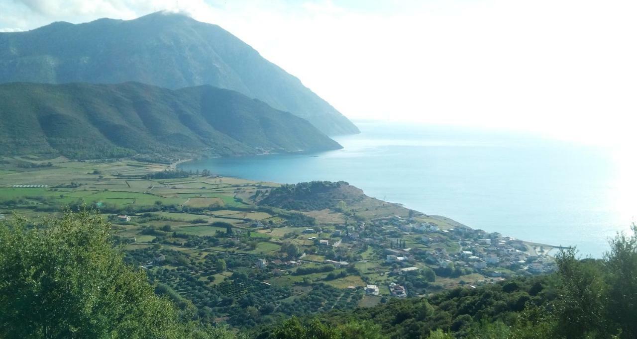 Villa The Platanus Tree Kato Vasiliki المظهر الخارجي الصورة