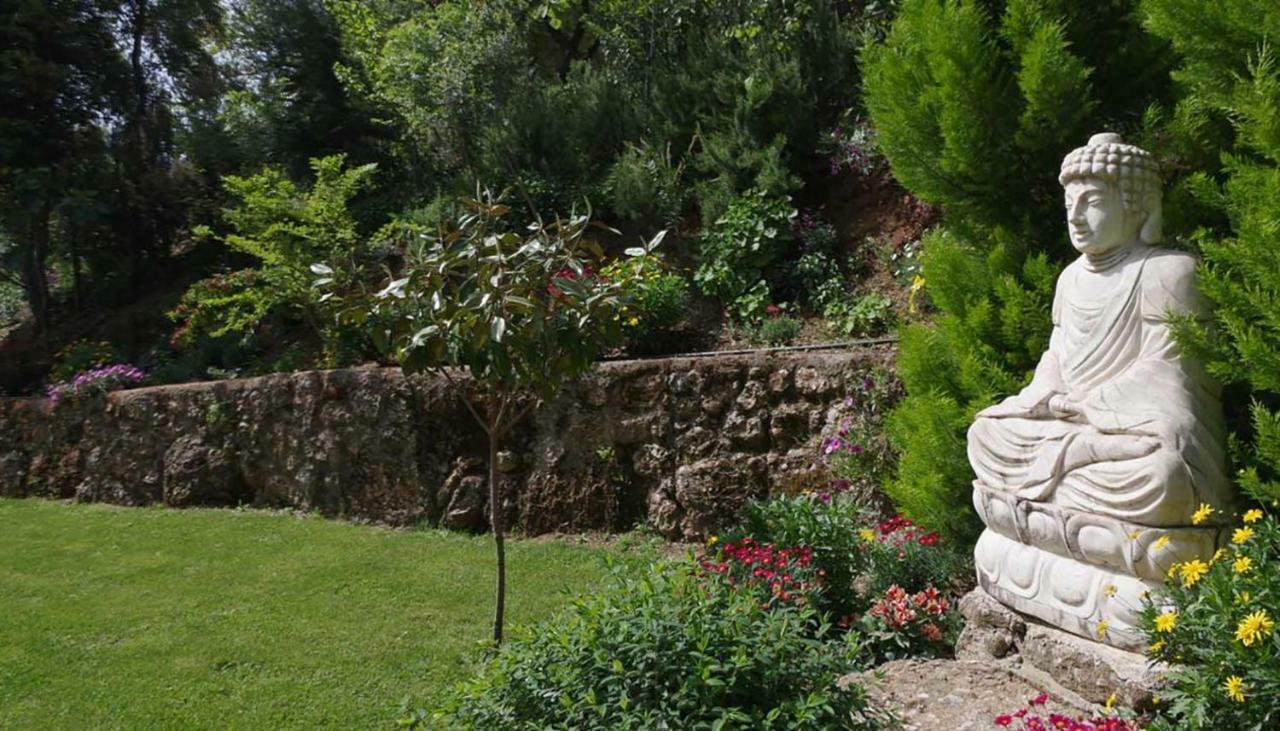 Villa The Platanus Tree Kato Vasiliki المظهر الخارجي الصورة